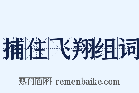 捕住飞翔组词是什么意思的图片